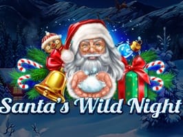 Santas Wild Night
