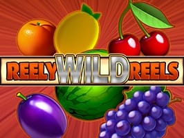 Reely Wild Reels